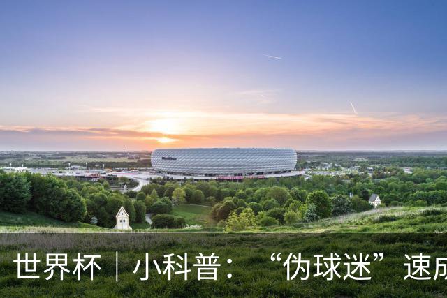 世界杯｜小科普：“伪球迷”速成手册
